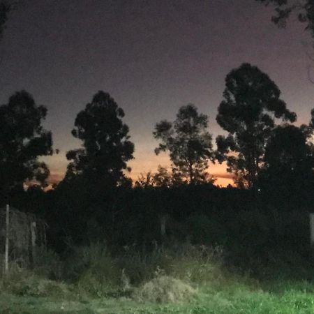 קונקורדיה Campo Verde מראה חיצוני תמונה